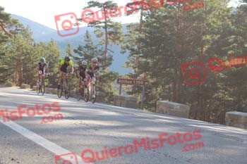 Perico 2016 00079
