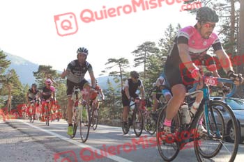 Perico 2016 02103