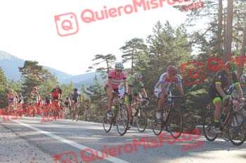 Perico 2016 02275