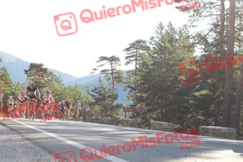 Perico 2016 02306