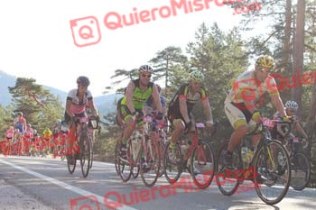 SILVIA CORTES NEVADO Perico 2016 02603