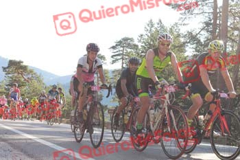 SILVIA CORTES NEVADO Perico 2016 02605