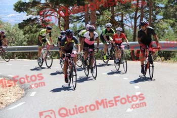 SILVIA CORTES NEVADO Perico 2016 29708