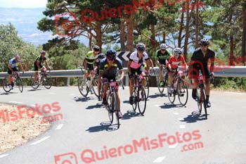 SILVIA CORTES NEVADO Perico 2016 29709