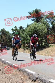 JAVIER ORELLANA CORREDOR Perico 2016 34265