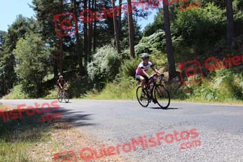 SILVIA CORTES NEVADO Perico 2016 38614