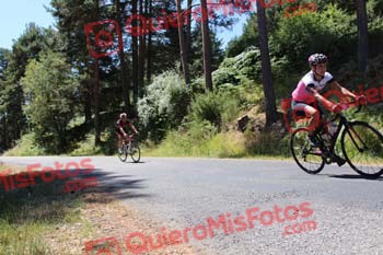 SILVIA CORTES NEVADO Perico 2016 38615