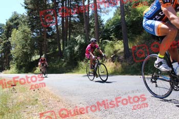 JAVIER ORELLANA CORREDOR Perico 2016 39613