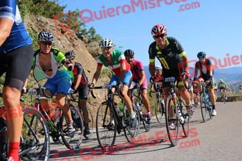 SANTIAGO PERDIGUERO OVEJERO Perico 2017 3 07129