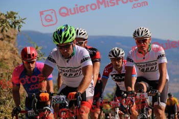 JAVIER VILLAFANE RUIZ Perico 2017 3 08315