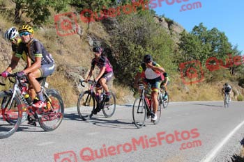 JUAN CARLOS MIRANDA GONZALEZ Perico 2017 3 09287