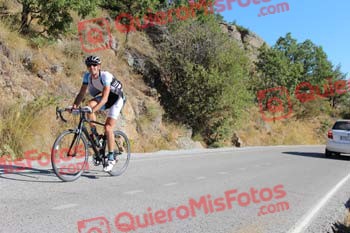 JESUS VERDESOTO MUNOZ Perico 2017 3 09314