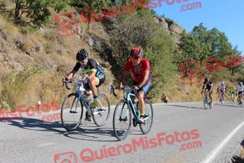 FIDEL MONTOYA ALHAMBRA Perico 2017 3 09409