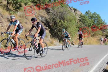 JESUS PRESMANES GARCIA Perico 2017 3 09594