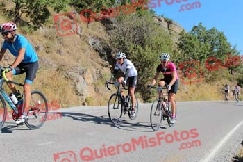 FRANCISCO PRADOS JIMENEZ Perico 2017 3 10748