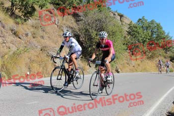 FRANCISCO PRADOS JIMENEZ Perico 2017 3 10749
