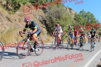 SANTIAGO PERDIGUERO OVEJERO Perico 2017 3 10901