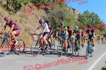 SANTIAGO PERDIGUERO OVEJERO Perico 2017 3 10902