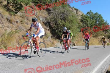 JOSE CARLOS BRINGAS CASADO Perico 2017 3 11382
