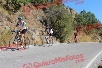 ROBERTO PERLADO DEL ALAMO Perico 2017 3 11417