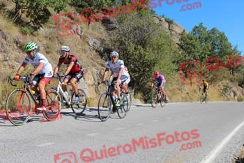 JAVIER VILLAFANE RUIZ Perico 2017 3 11547