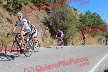 JAVIER VILLAFANE RUIZ Perico 2017 3 11548