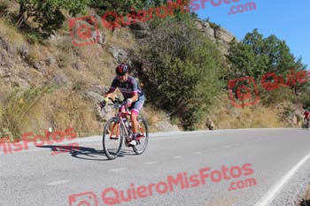 JESUS HINOJAL SAGUILLO Perico 2017 3 11772