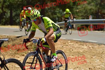 VICENTE GOMEZ QUILON Perico 2017 3 24451