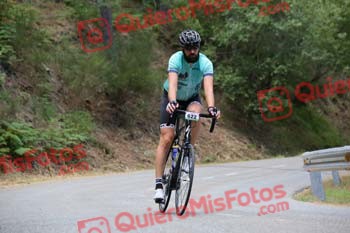 CARLOS CAMARERO MACHADO Perico 2017 3 31453