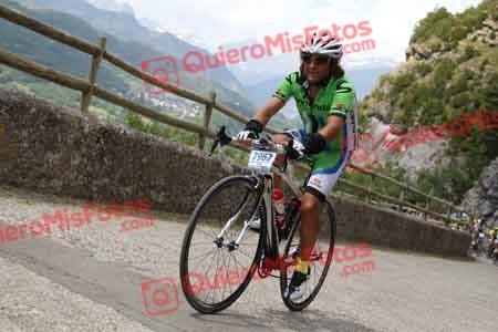 ANDONI CORES MOYA QH 2014 14124