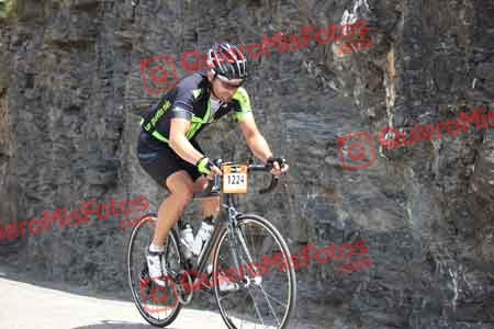 ANTONIO BERTOLIN SORANDO QH 2014 16542
