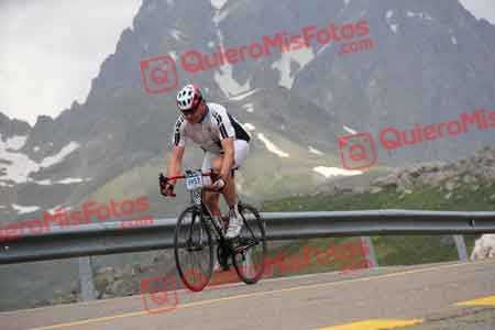 JAUME AMIGO BOTIFOLL QH 2014 01285