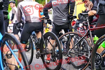 Remences 2023 D 00028