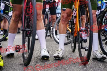 Remences 2023 D 00030