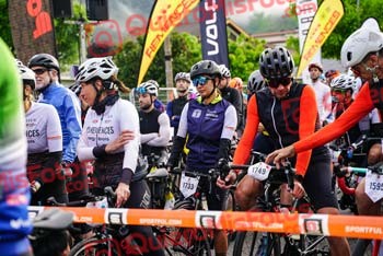 Remences 2023 D 00041