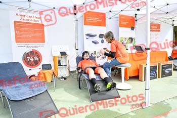 Remences 2023 S 00493