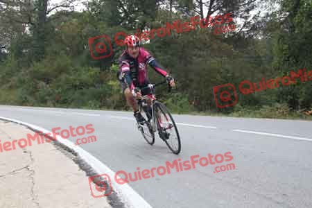 Tondo 2014 00230