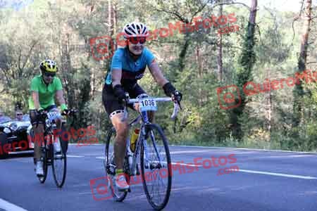 MARTA BOADA ORDIS Tondo 2015 02649