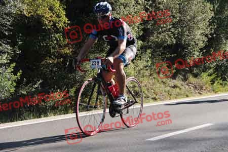 XAVIER TORRA GRIFUL Tondo 2015 05027