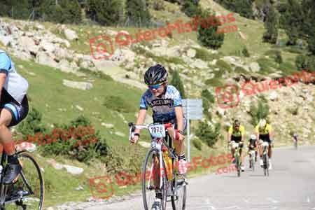 LAURA MARTI SELLES Tondo 2015 14624