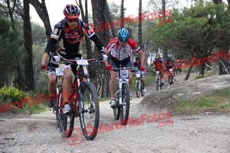 JOSE VICENTE MARTIN CUBILLO Cadalso 2015 00194
