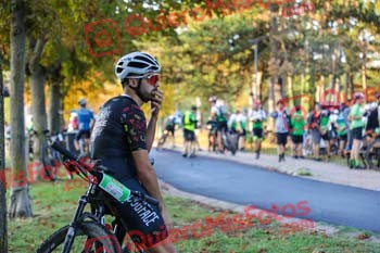 BTT Mercedes Benz 2023 00030