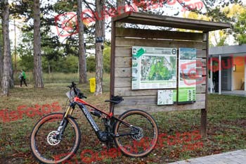 BTT Mercedes Benz 2023 00033