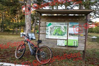 BTT Mercedes Benz 2023 00034