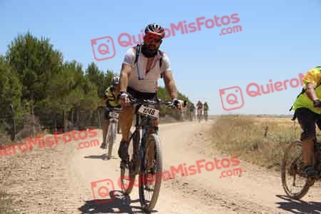 FRANCISCO ARREGUI PINO Bardenas 2015 10058