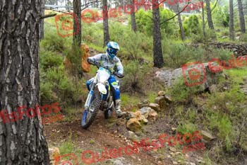 Gigante 2021 02078