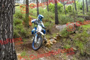 Gigante 2021 02079