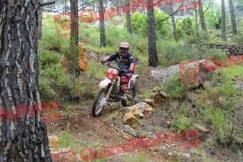 Gigante 2021 02087