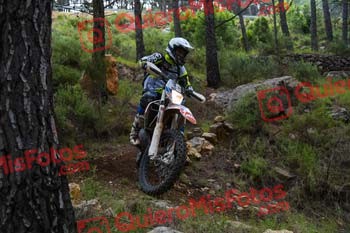 Gigante 2021 02093
