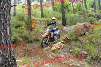 Gigante 2021 02178